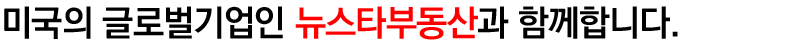 미국뉴스타부동산